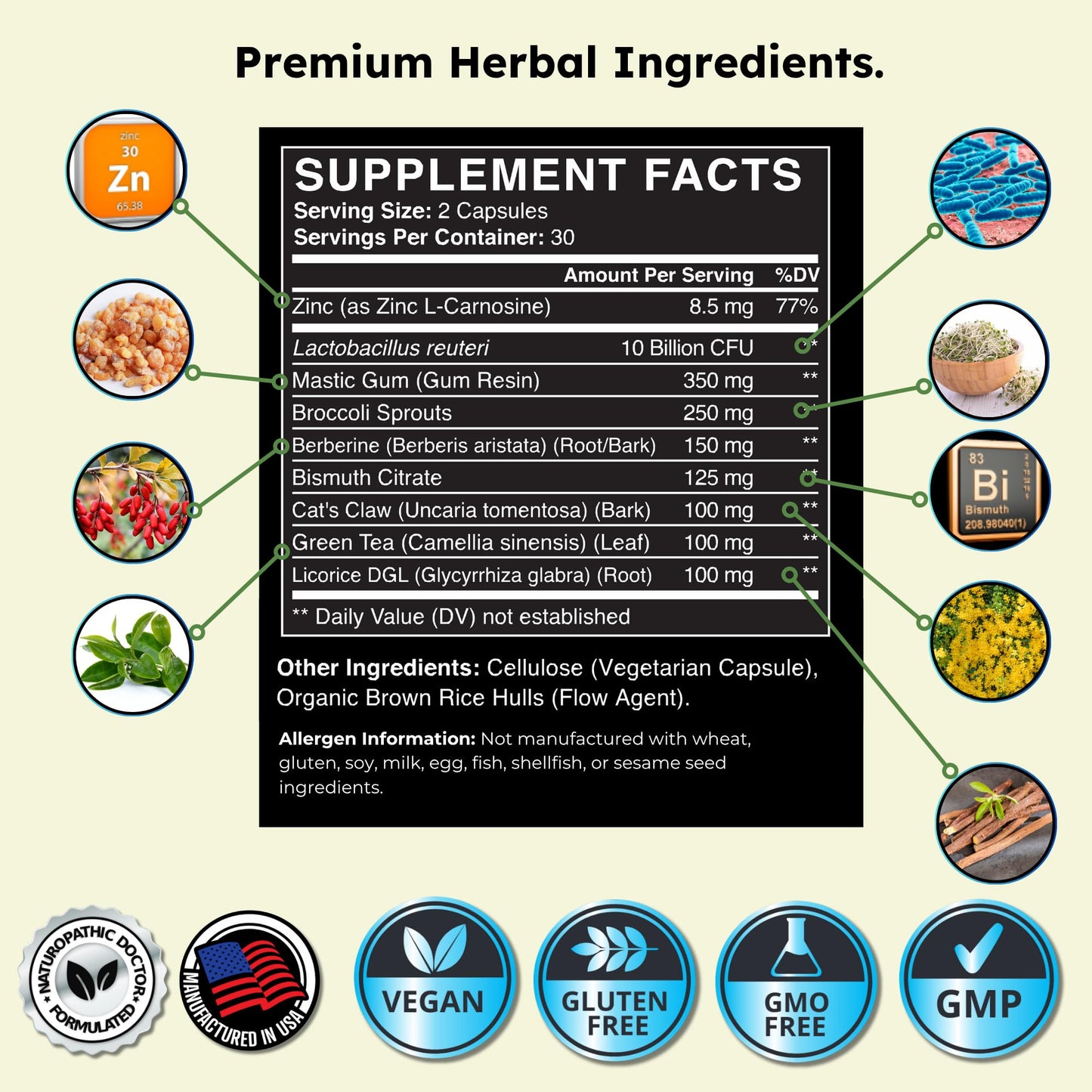 H. Pylori Support | Lactobacillus Reuteri Probiotic with Mastic Gum for Digestion & GI Health - Third Party Tested, 60 Vegan Capsules, Made in The USA Nirvana Guru