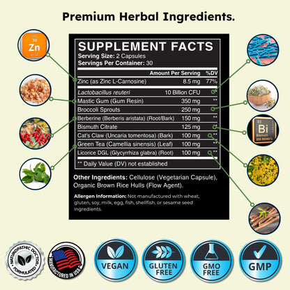 H. Pylori Support | Lactobacillus Reuteri Probiotic with Mastic Gum for Digestion & GI Health - Third Party Tested, 60 Vegan Capsules, Made in The USA Nirvana Guru