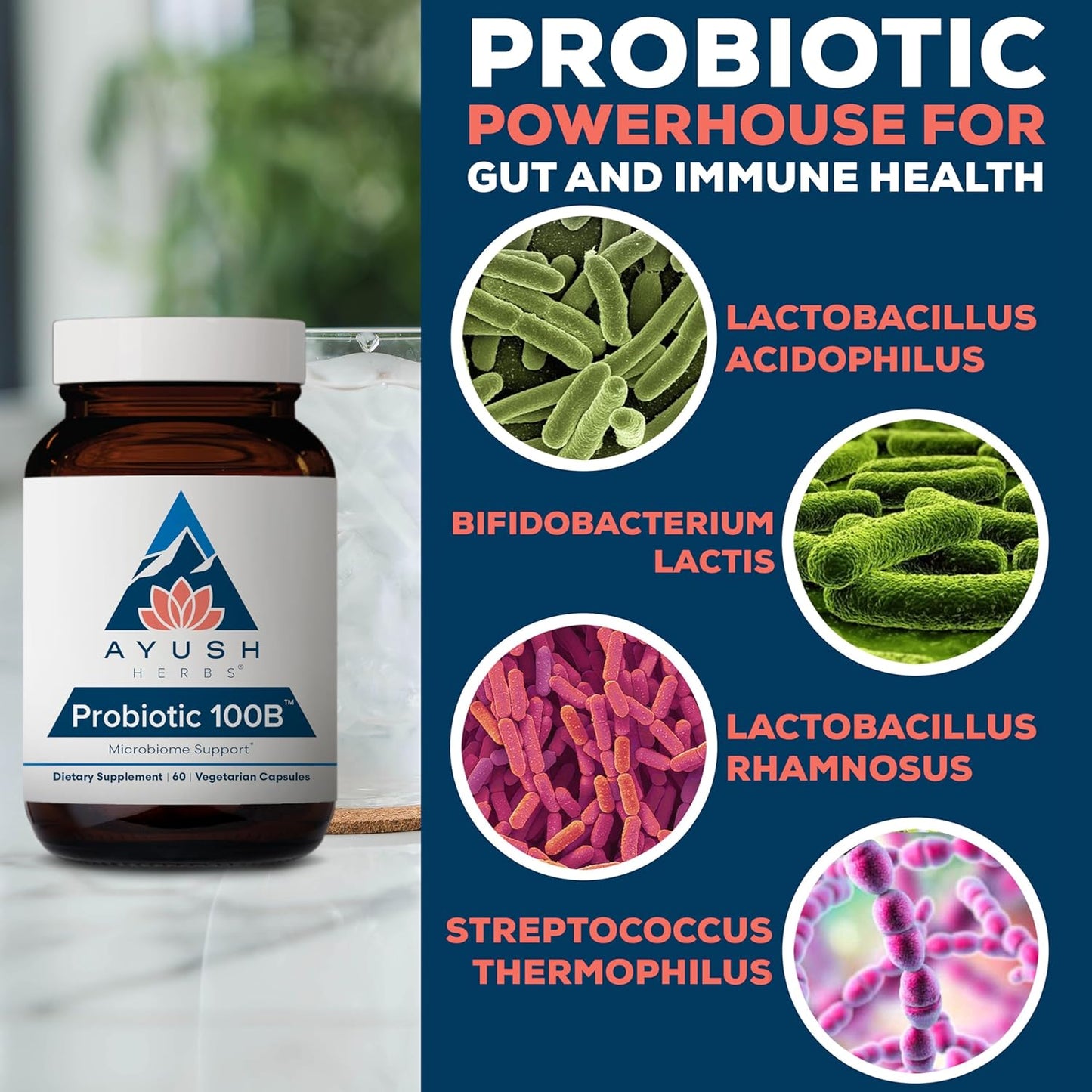Ayush Herbs Probiotic 100B - Probiotics for Women, Probiotics for Men, Prebiotics and Probiotics for Digestive Health, Gas Relief, Gut Microbiome Balance - 60 Vegetarian Capsules (1 Count) Nirvana Guru