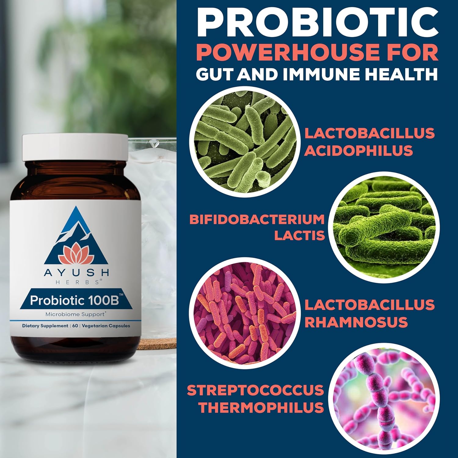 Ayush Herbs Probiotic 100B - Probiotics for Women, Probiotics for Men, Prebiotics and Probiotics for Digestive Health, Gas Relief, Gut Microbiome Balance - 60 Vegetarian Capsules (1 Count) Nirvana Guru