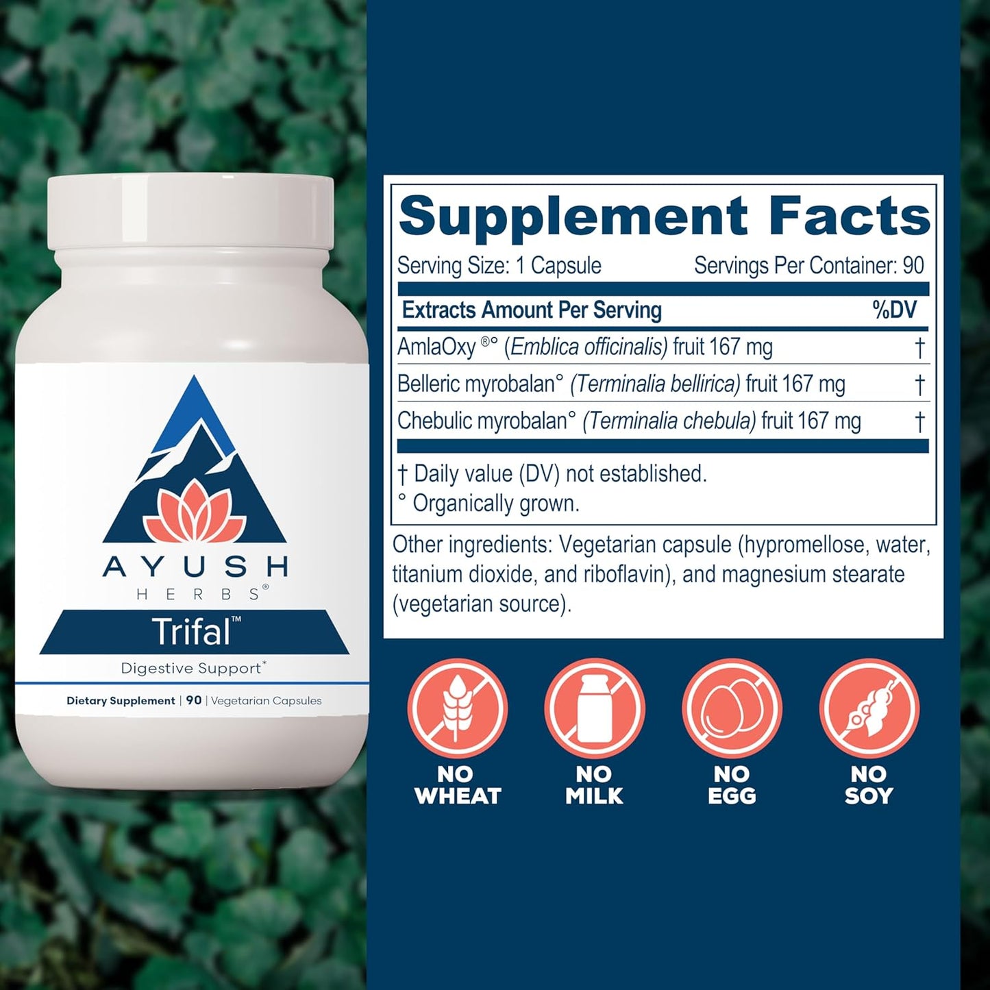 Ayush Herbs Trifal Digestive Support with Amla - Triphala Supplement for Women & Men, Promotes Balanced Digestion, Antioxidant Rich, Made with Organic Ingredients - 90 Vegetarian Capsules (1 Count) Nirvana Guru