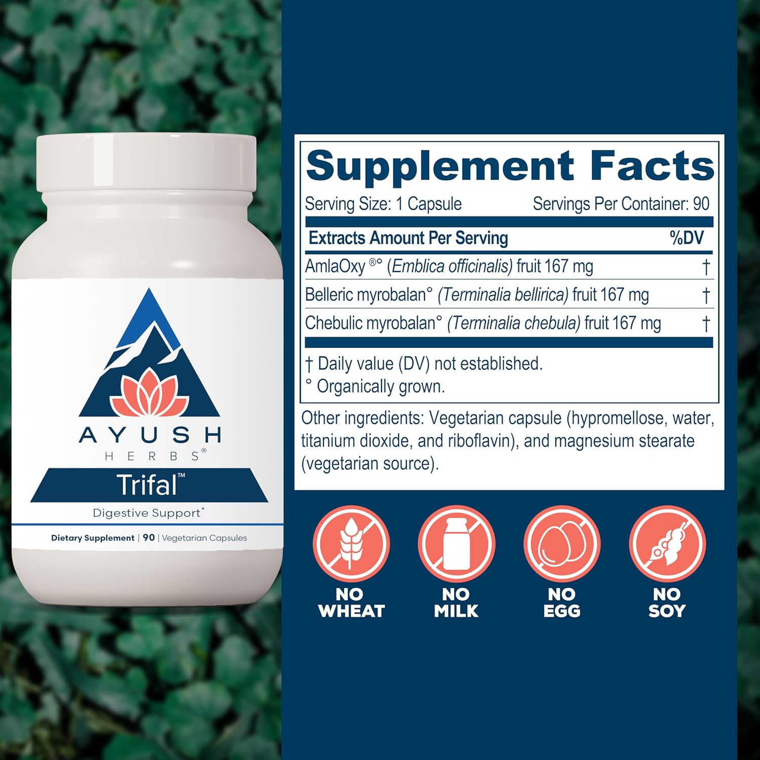 Ayush Herbs Trifal Digestive Support with Amla - Triphala Supplement for Women & Men, Promotes Balanced Digestion, Antioxidant Rich, Made with Organic Ingredients - 90 Vegetarian Capsules (1 Count) Nirvana Guru