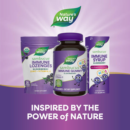 Nature's Way Sambucus Elderberry Immune Gummies for Kids, Immune Support Gummies*, with Black Elderberry Extract, Vitamin C and Zinc, 60 Gummies (Packaging May Vary) - Nirvana Guru