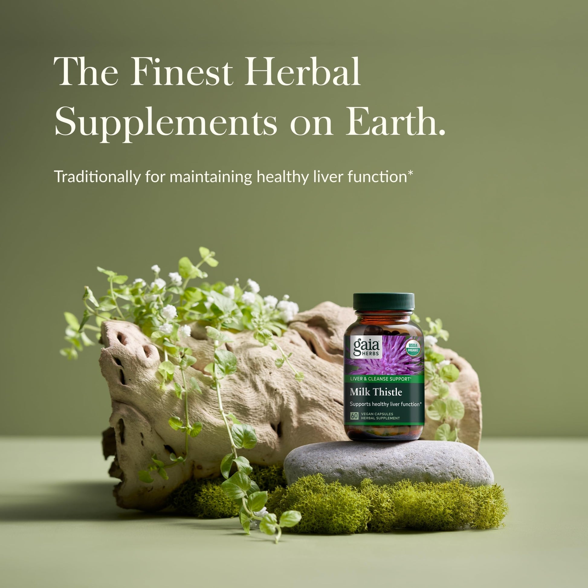 Gaia Herbs Milk Thistle - Liver Supplement & Cleanse Support for Maintaining Healthy Liver Function* - 60 Vegan Capsules (20-Day Supply) - Nirvana Guru