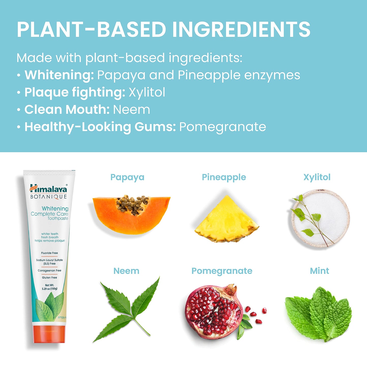 Himalaya Botanique Whitening Complete Care Toothpaste, Teeth Whitening, Fights Plaque, Fluoride Free, No Artificial Flavors, SLS Free, Cruelty Free, Foaming, Simply Mint Flavor, 5.29 Oz, 2 Pack - Nirvana Guru