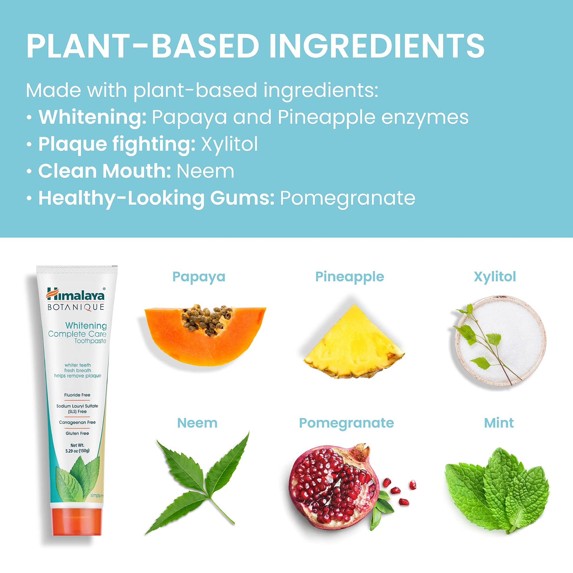Himalaya Botanique Whitening Complete Care Toothpaste, Teeth Whitening, Fights Plaque, Fluoride Free, No Artificial Flavors, SLS Free, Cruelty Free, Foaming, Simply Mint Flavor, 5.29 Oz, 2 Pack - Nirvana Guru