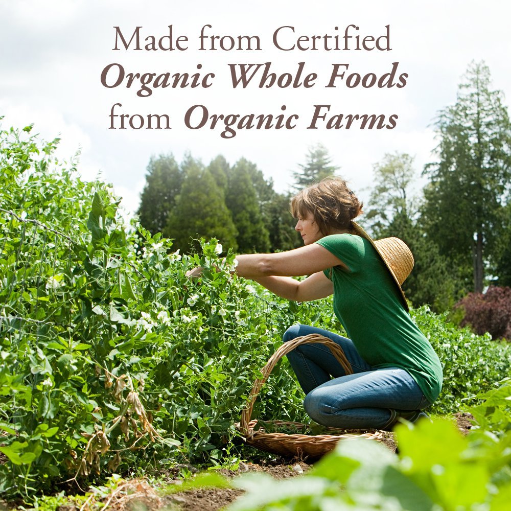 Garden of Life Organics B12 Vitamin - Whole Food B-12 for Metabolism and Energy, Raspberry, 2oz Liquid - Nirvana Guru