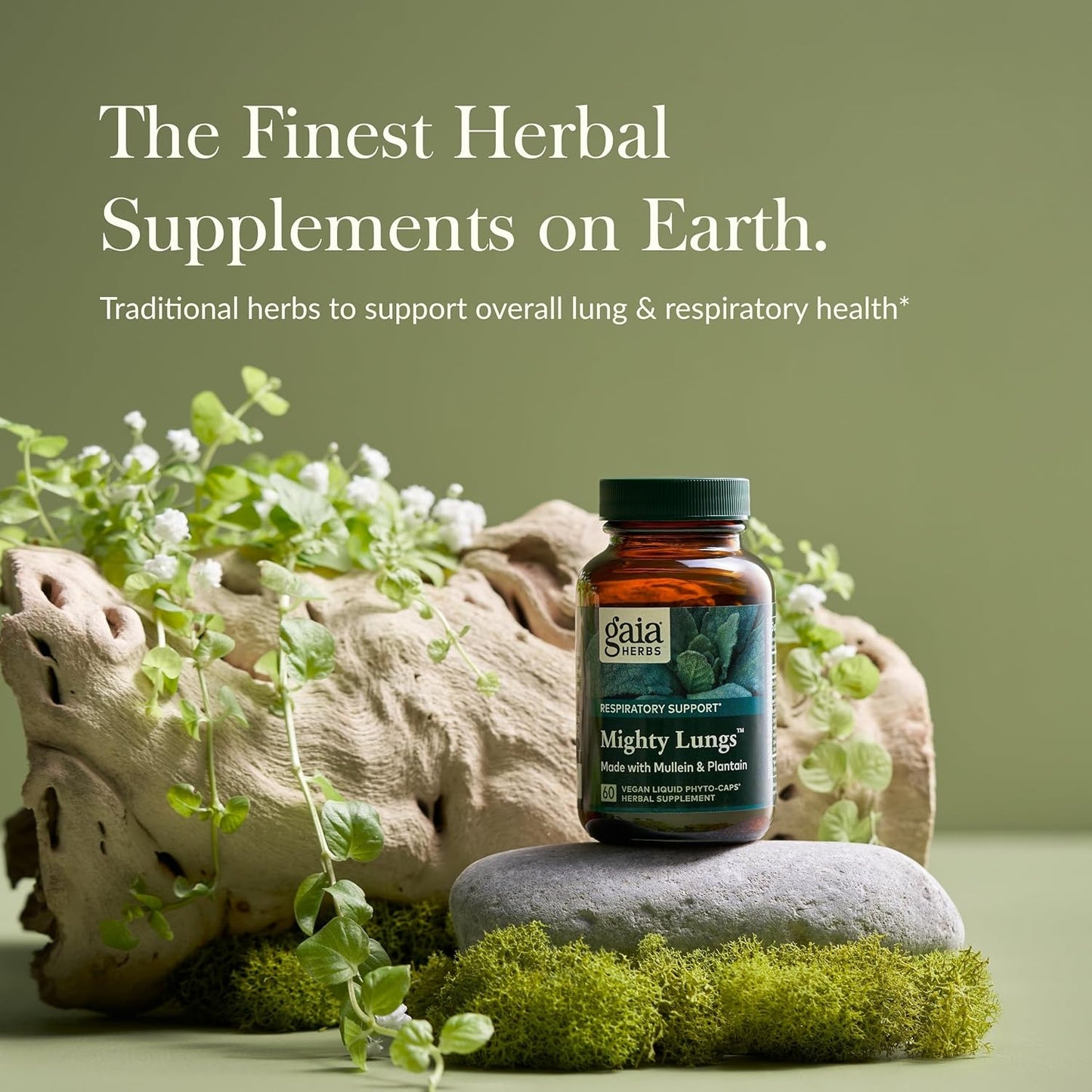 Gaia Herbs Mighty Lungs - Lung Support Supplement to Help Maintain Overall Lung & Respiratory Health* - With Mullein, Plantain, Schisandra & Elecampane - 60 Vegan Liquid Phyto-Capsules (30-Day Supply) - Nirvana Guru