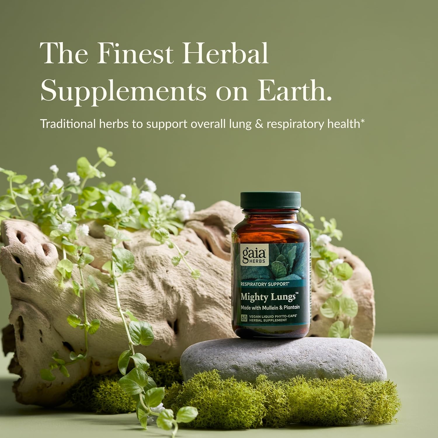 Gaia Herbs Mighty Lungs - Lung Support Supplement to Help Maintain Overall Lung & Respiratory Health* - With Mullein, Plantain, Schisandra & Elecampane - 60 Vegan Liquid Phyto-Capsules (30-Day Supply) - Nirvana Guru