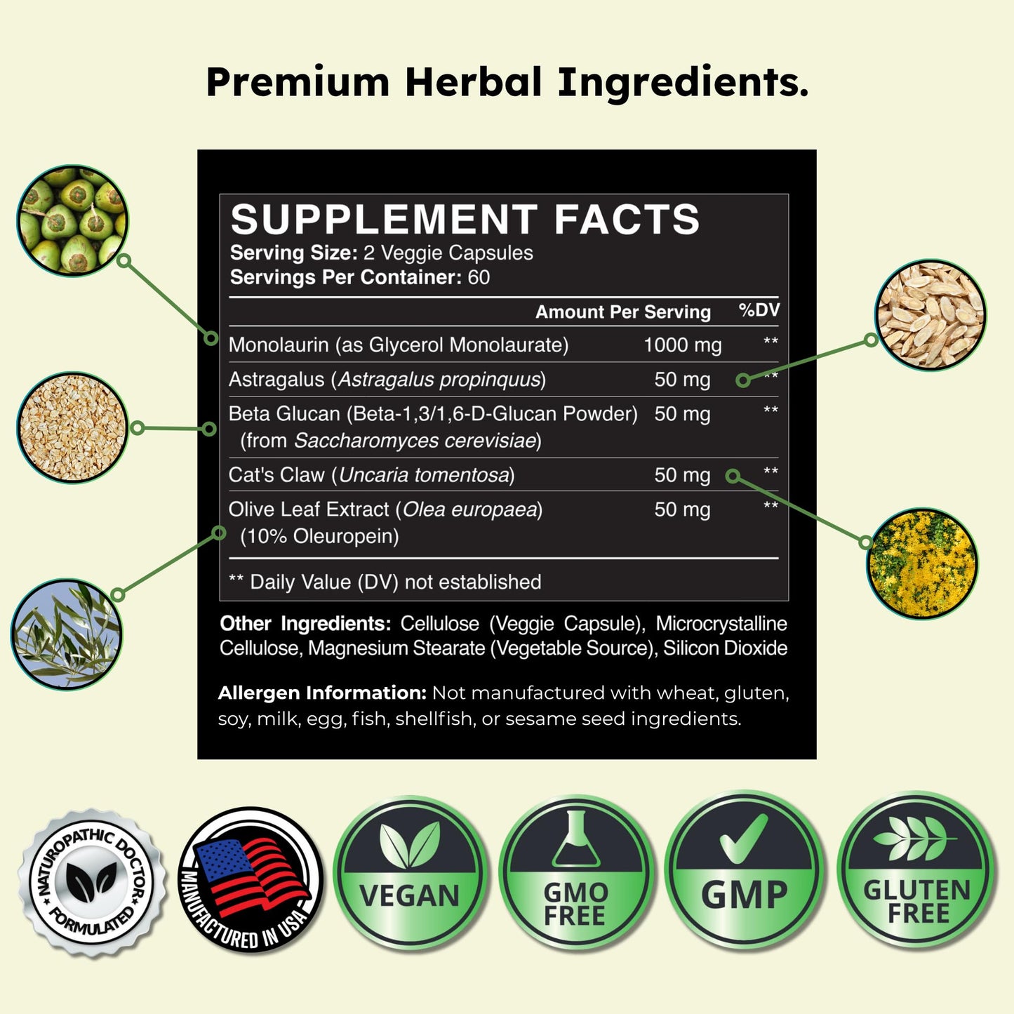 H. Pylori Support | Lactobacillus Reuteri Probiotic with Mastic Gum for Digestion & GI Health - Third Party Tested, 60 Vegan Capsules, Made in The USA Nirvana Guru