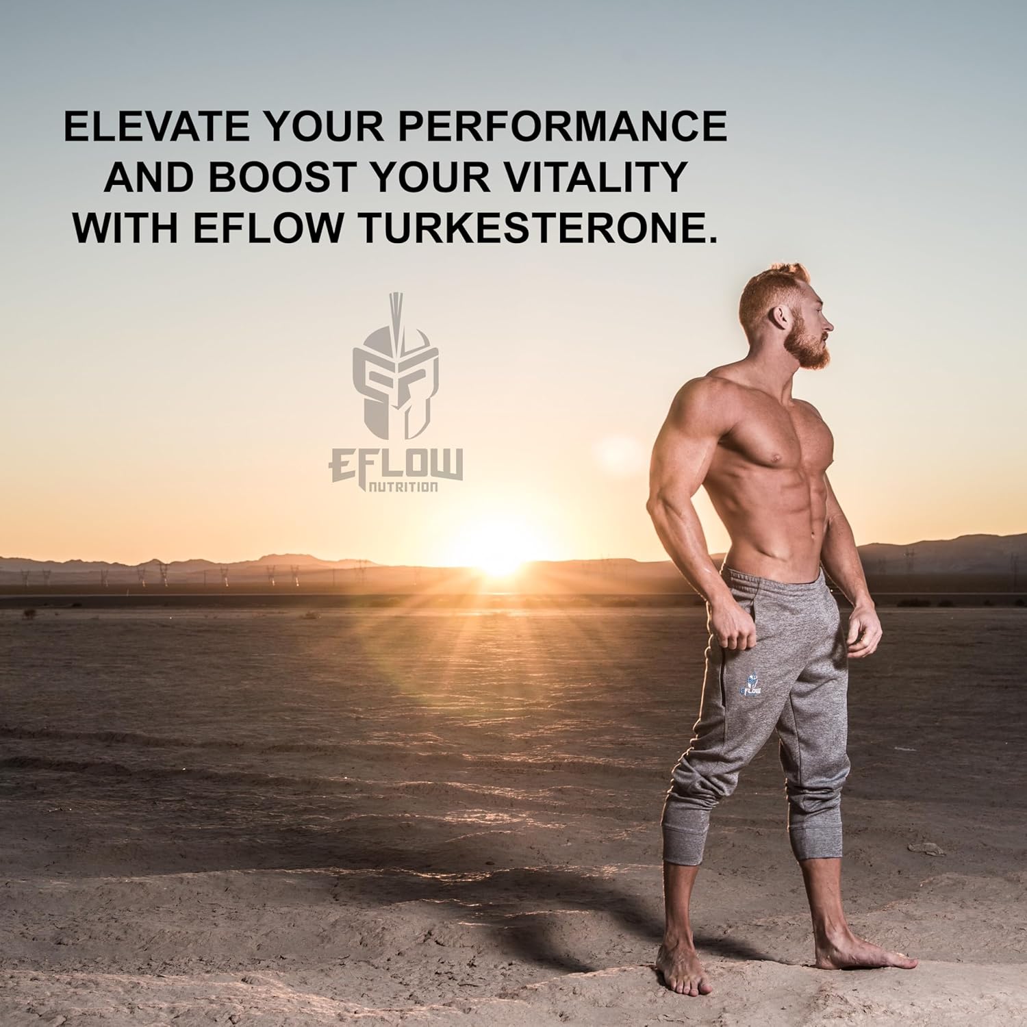 eFlow Nutrition Turkesterone Supplement for Men [Highest Purity] + Cyclodextrin for High Absorption - Increase Stamina, Lean Muscle Growth & Recovery, Boosts Drive - 3rd Party Tested (60 Capsules) Nirvana Guru