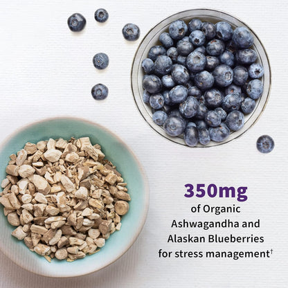 Garden of Life Probiotics Mood+ Dr Formulated Acidophilus Probiotic Supplement - Promotes Emotional Well-Being, Relaxation and Digestive Balance - Ashwagandha for Stress Management, 60 Veggie Caps - Nirvana Guru