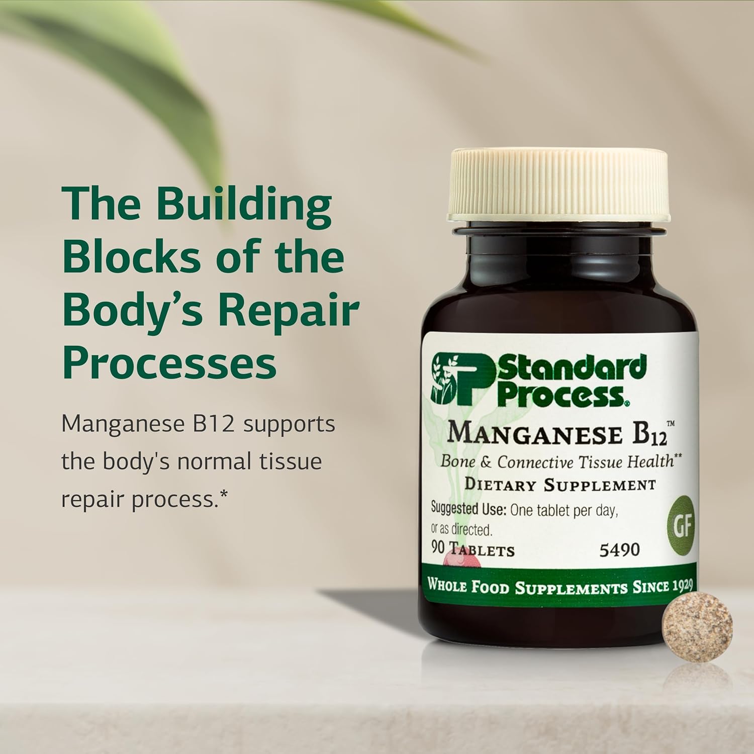 Standard Process Manganese B12 - Supports Bone & Connective Tissue Health - Hemoglobin Formation Support - Gluten-Free, Non-Dairy & Non-Soy - 90 Tablets (90 Servings) Nirvana Guru