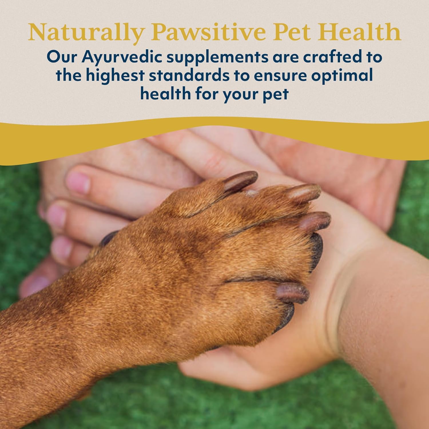 Ayush Pet Kidney and Bladder Support, Rentone Drops for Pets, Promotes Healthy Urinary Tract and Immune Function, 2oz. Nirvana Guru