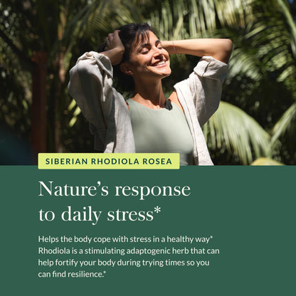 Gaia Herbs Rhodiola Rosea - Stress Support Supplement Traditionally for Supporting Healthy Stamina and Endurance - with Siberian Rhodiola Root Extract - 60 Vegan Liquid Phyto-Capsules (30-Day Supply) - Nirvana Guru