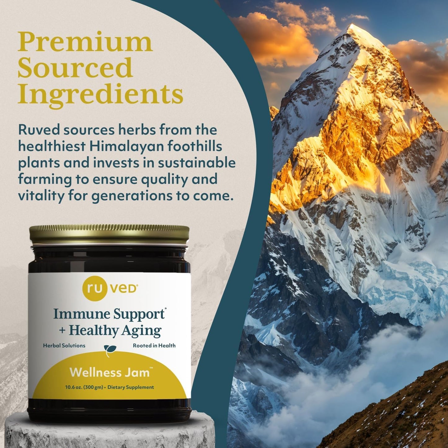 RUVED Wellness Jam with Amla, Enhanced Chanvanprash, Immune and Digestive Support, 10.6 oz Nirvana Guru