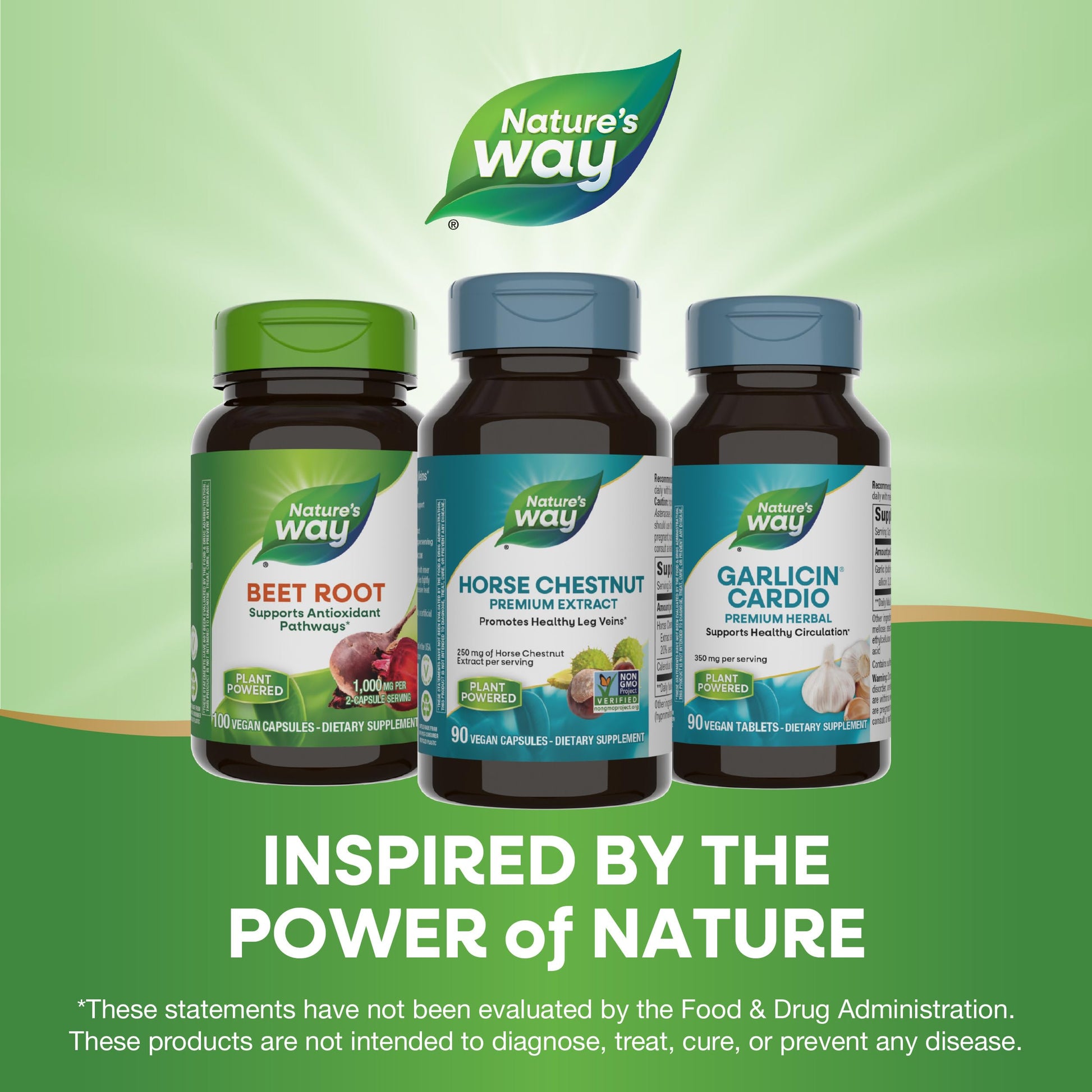 Nature's Way Standardized Horse Chestnut, Premium Extract, Promotes Healthy Leg Veins*, 250 mg per Serving, Vegan, 90 Capsules - Nirvana Guru