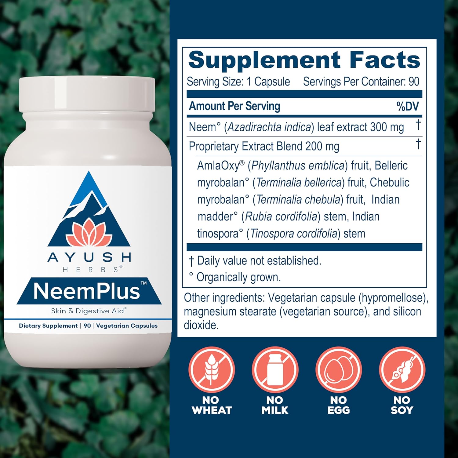 Ayush Herbs Neem Plus - Digestive Health for Women & Men, Gut Support Supplement for Stomach & Skin Health, Immune Support - 90 Vegetarian Capsules (1 Count) Nirvana Guru