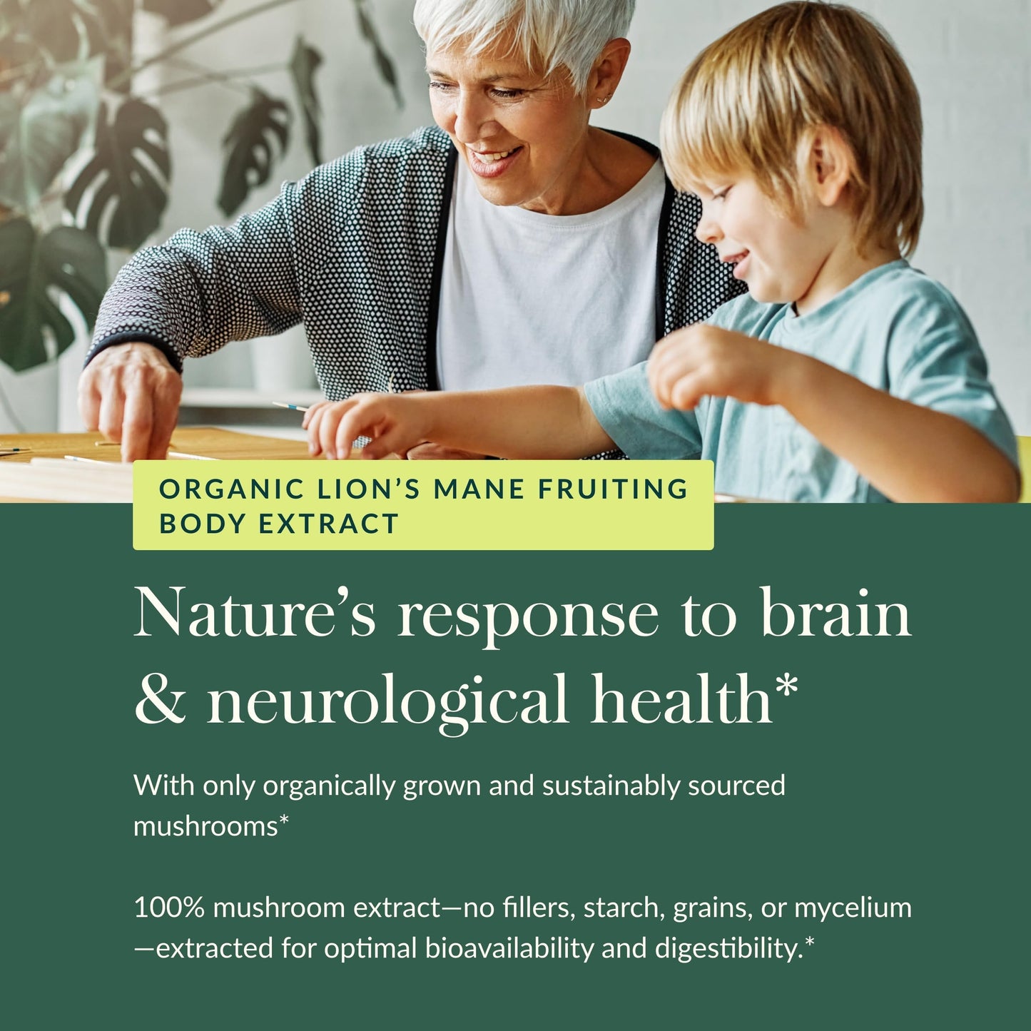 Gaia Herbs Lion’s Mane Mushroom - Brain & Nerve Health Support - 40 Vegan Capsules - Nirvana Guru