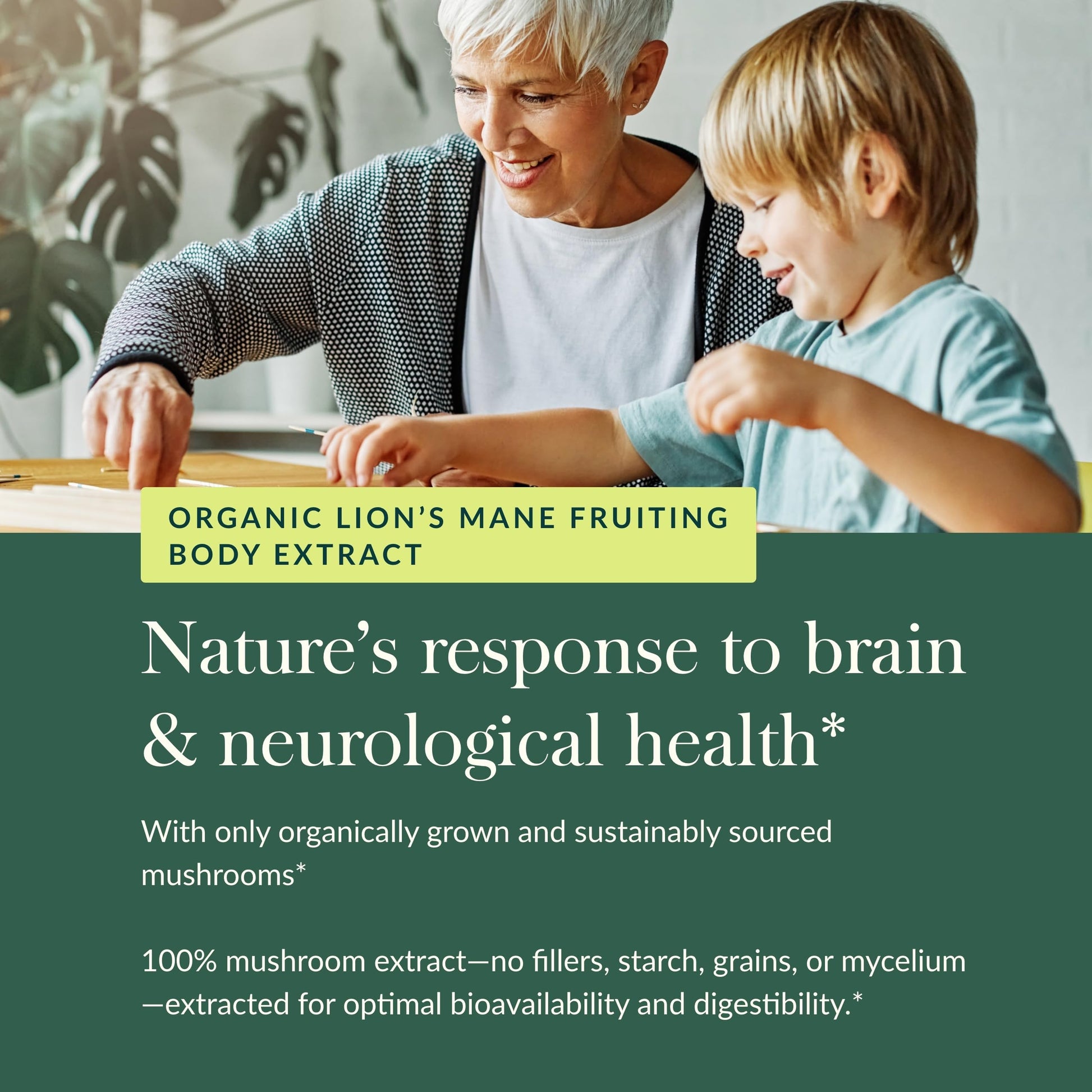Gaia Herbs Lion’s Mane Mushroom - Brain & Nerve Health Support - 40 Vegan Capsules - Nirvana Guru