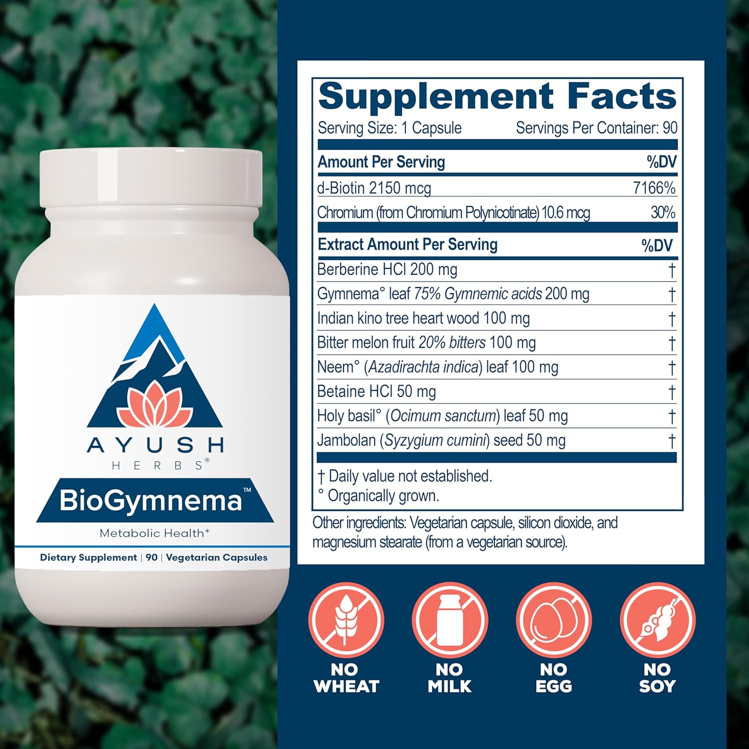 Ayush Herbs BioGymnema - Metabolic Vitamin & Herb Blend, Metabolic Health Supplement for Women & Men with Biotin, Berberine, Bitter Melon & Gymnema, Nutrient Support - 90 Vegetarian Capsules (1 Count) Nirvana Guru
