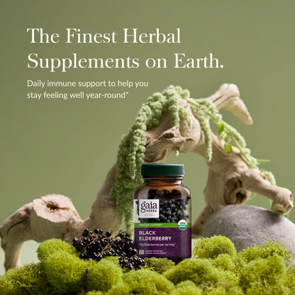Gaia Herbs Black Elderberry - Daily Immune Support Supplement to Help Maintain Well-Being- with Black Elderberries and Acerola Fruit for Antioxidant Support - 120 Vegan Capsules (60-Day Supply) - Nirvana Guru