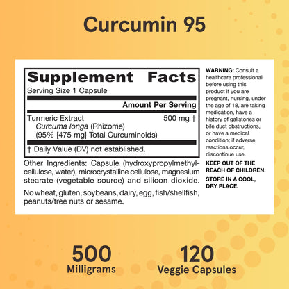 Jarrow Formulas Turmeric Curcumin Supplement - Curcumin 95, Turmeric Supplements, 500 mg for Antioxidant & Joint Support, 120 Capsules - Nirvana Guru