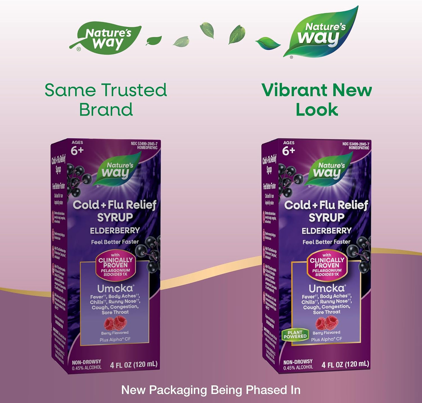 Nature's Way Cold + Flu Relief Syrup*, Umcka, Sore Throat, Cough, Congestion, Fever*, Body Aches*, Phenylephrine Free, Homeopathic, Non-Drowsy, Berry Flavored, 4 Fl Oz (Packaging May Vary) - Nirvana Guru