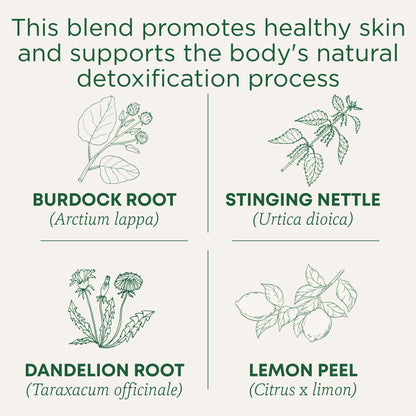 Traditional Medicinals Tea, Organic Everyday Detox Lemon, Supports Healthy Skin & Liver Function, Detox, 16 Tea Bags - Nirvana Guru