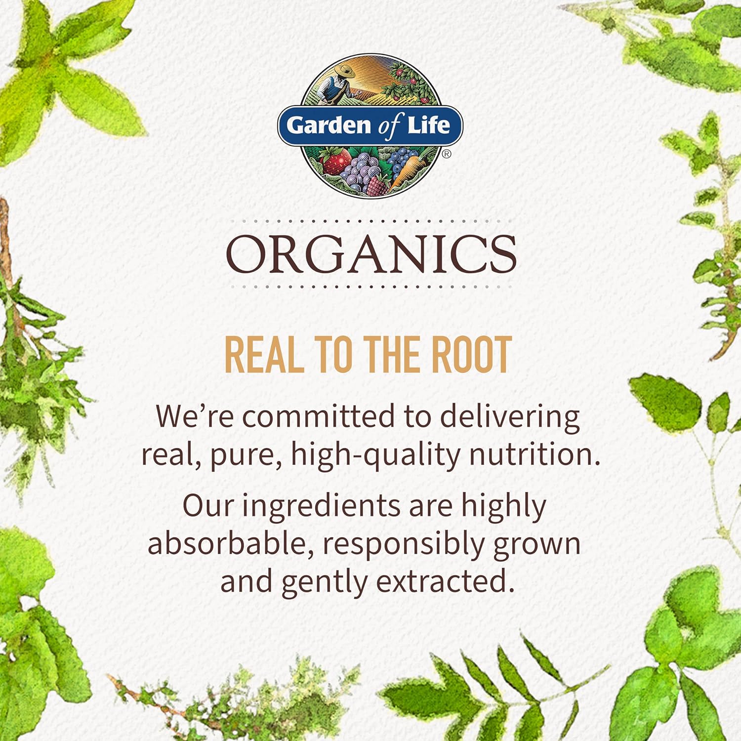Garden of Life Organics Oil of Oregano Seasonal Drops 1fl oz (30 mL) Liquid, Concentrated Plant Based Immune Support - Alcohol-Free, Organic, Non-GMO, Vegan & Gluten Free Herbal Supplements - Nirvana Guru