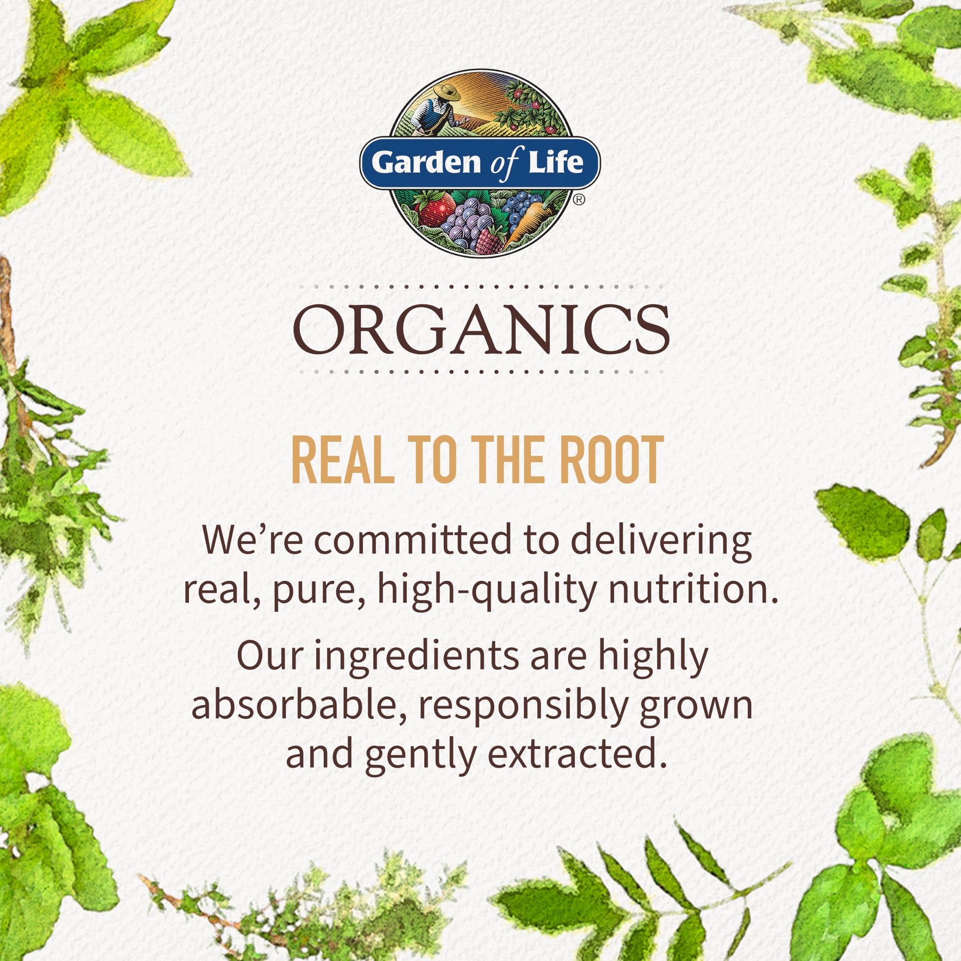 Garden of Life Organics Prenatal Vitamins - 30 Tablets, Prenatal Once Daily Whole Food Vitamins for Women with Folate not Folic Acid, Vitamin D3, Iron, Vegan One a Day Prenatal Multivitamin - Nirvana Guru