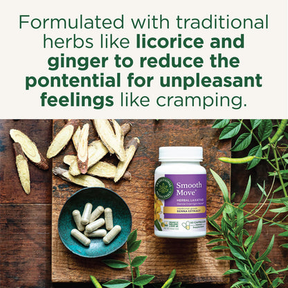Traditional Medicinals Tea, Organic Smooth Move Peppermint, Relieves Occasional Constipation, Senna, 16 Tea Bags - Nirvana Guru