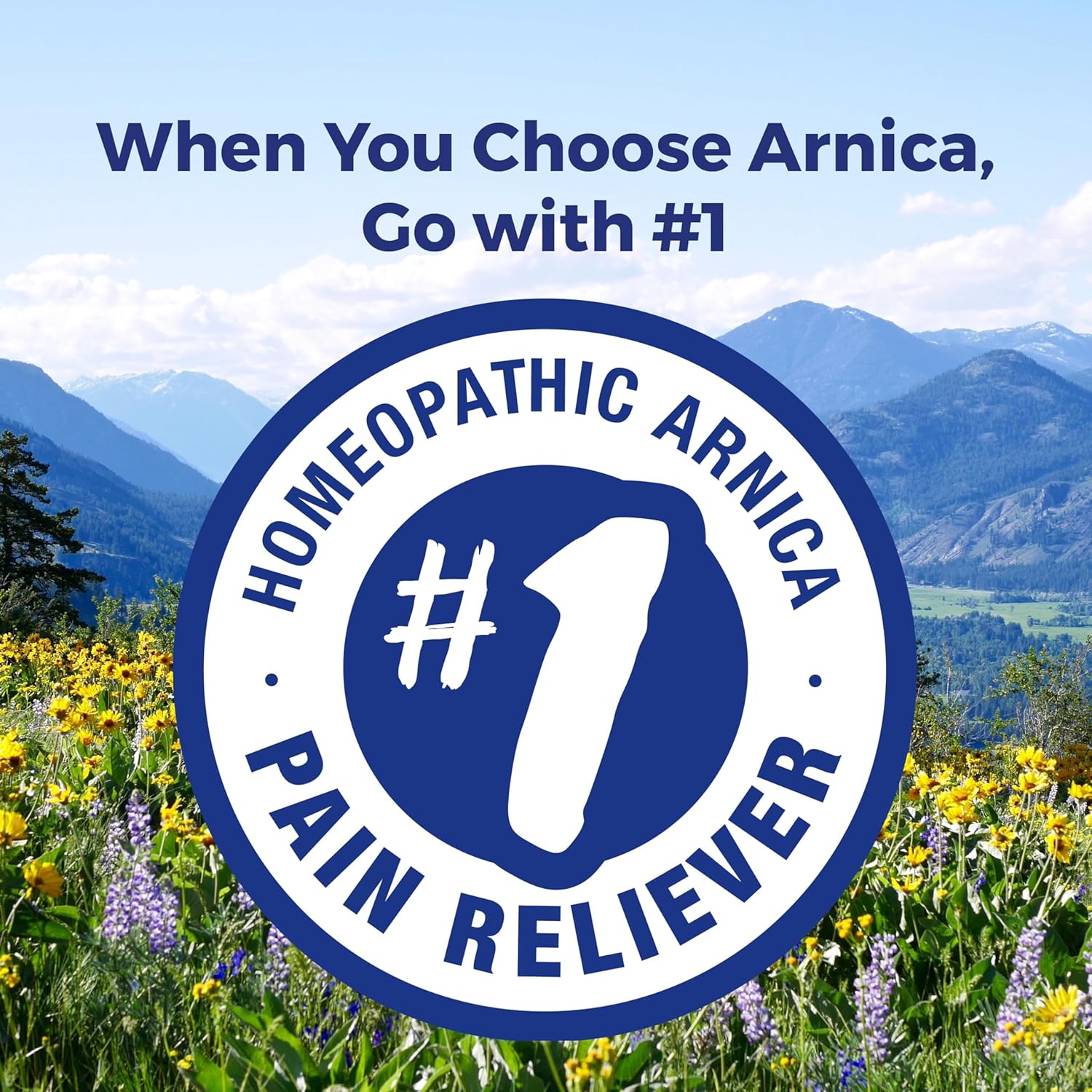 Boiron Arnica Montana 30X Homeopathic Medicine for Relief from Muscle Pain, Muscle Stiffness, Swelling from Injury, and Discoloration from Bruises - 3 Count (240 Pellets) - Nirvana Guru