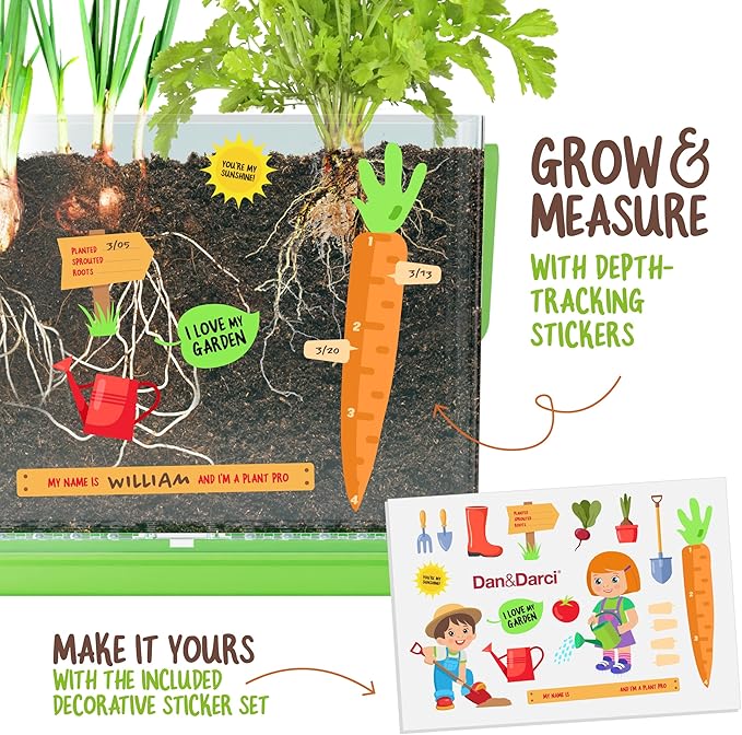 Dan&Darci Root Viewer Kit for Kids - Grow Your Own Plant for Boys & Girls Gifts - Science STEM Toy & Craft Growing Kits for Ages 4-8 Birthday Gifts for Boy, Girl 4, 5, 6, 7, 8, Year Old - Gardening nirvanaguru