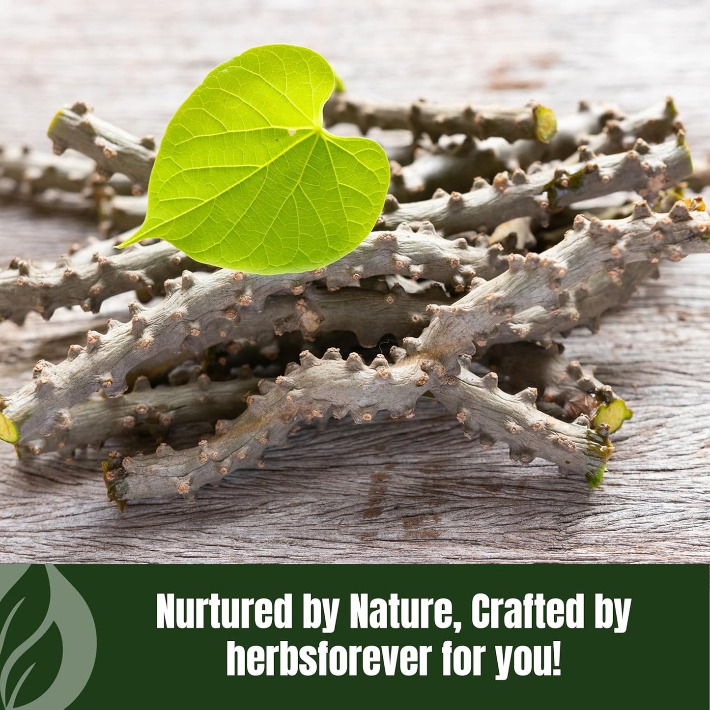 Guduchi Powder | Tinospora Cordifolia | Ayurvedic Herbal Supplement | Natural & Pure | Non-GMO, Vegan | 230 GMS | Traditional Herb for Everyday Wellness Nirvana Guru