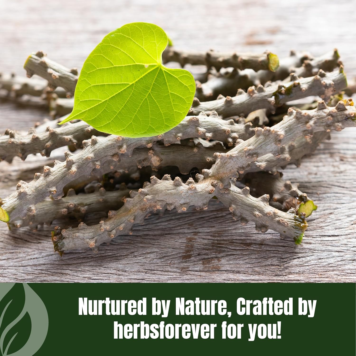 Guduchi Powder | Tinospora Cordifolia | Ayurvedic Herbal Supplement | Natural & Pure | Non-GMO, Vegan | 230 GMS | Traditional Herb for Everyday Wellness Nirvana Guru