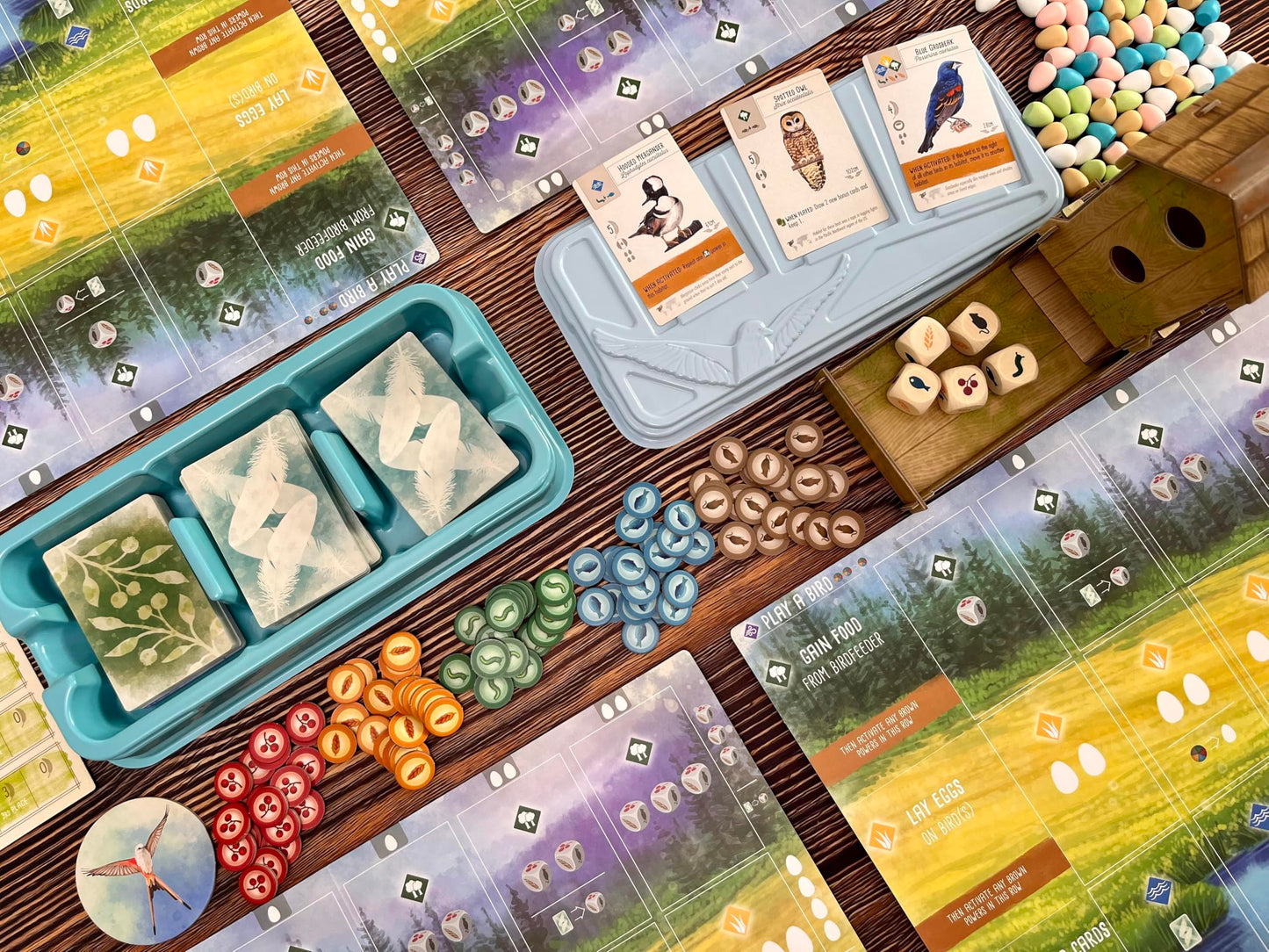 Stonemaier Games: Wingspan (Base Game) by Elizabeth Hargrave | A Relaxing, Award-Winning Strategy Board Game About Birds for Adults and Family | 1-5 Players, 70 Mins, Ages 14+ Nirvana Guru