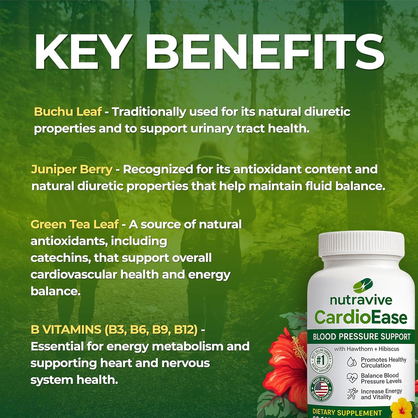 Nutravive Blood Pressure Support Supplement – Natural Heart & Circulation Support with Hawthorn, Garlic, Olive Leaf, Hibiscus & B12 – USA Made, GMP Facility, Third-Party Tested – 90 Capsules Nirvana Guru
