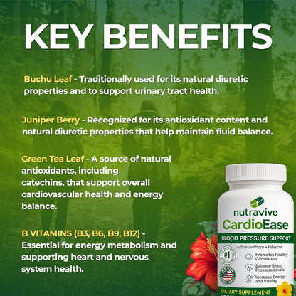 Nutravive Blood Pressure Support Supplement – Natural Heart & Circulation Support with Hawthorn, Garlic, Olive Leaf, Hibiscus & B12 – USA Made, GMP Facility, Third-Party Tested – 90 Capsules Nirvana Guru