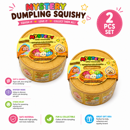 Mystery Dumpling Squishy Surprise Box Slow Rising Kawaii Fidget Toy Nirvana Guru