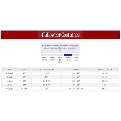 HalloweenCostumes.com Women's Deluxe Pink Witch Dress Costume Pink Witch Gown for Women nirvanaguru