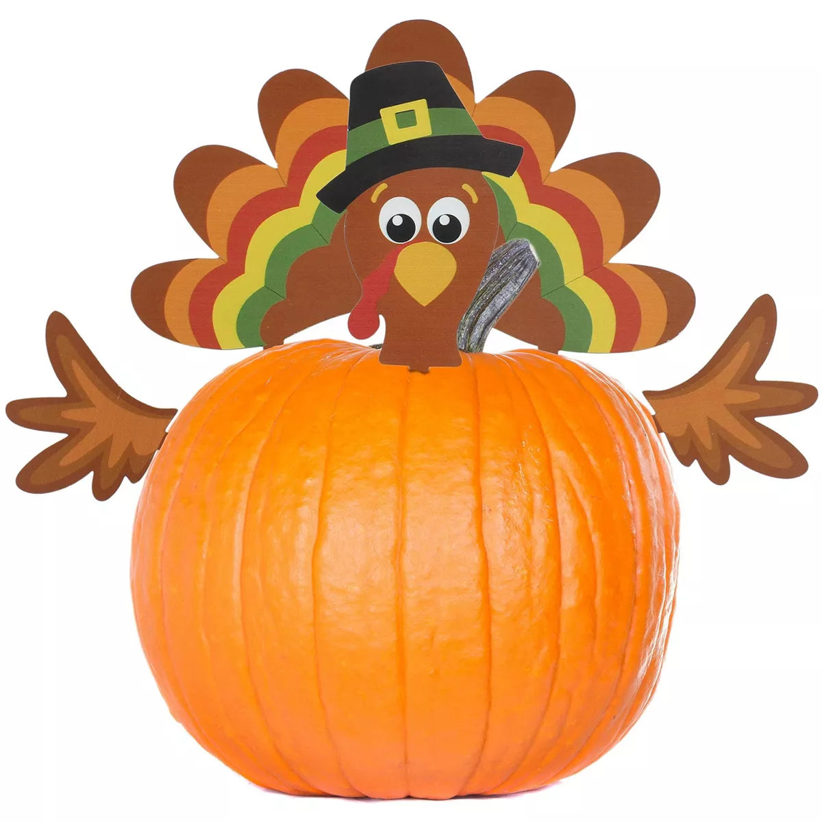 Decorae Halloween Pumpkin Decorating Kit, Turkey Set, 4 Reusable Metal Accessories for Fall Pumpkin Face Decorating w/ Turkey Body Parts Nirvana Guru