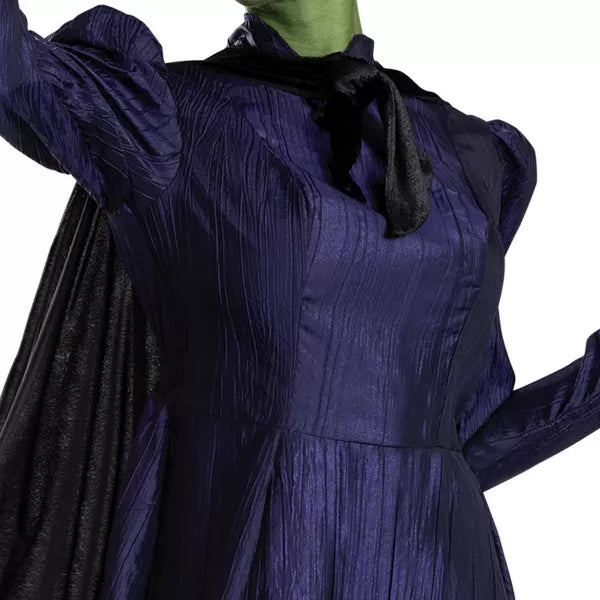 NBCUniversal Adult Wicked Elphaba Halloween Costume Nirvana Guru