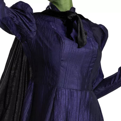 NBCUniversal Adult Wicked Elphaba Halloween Costume Nirvana Guru