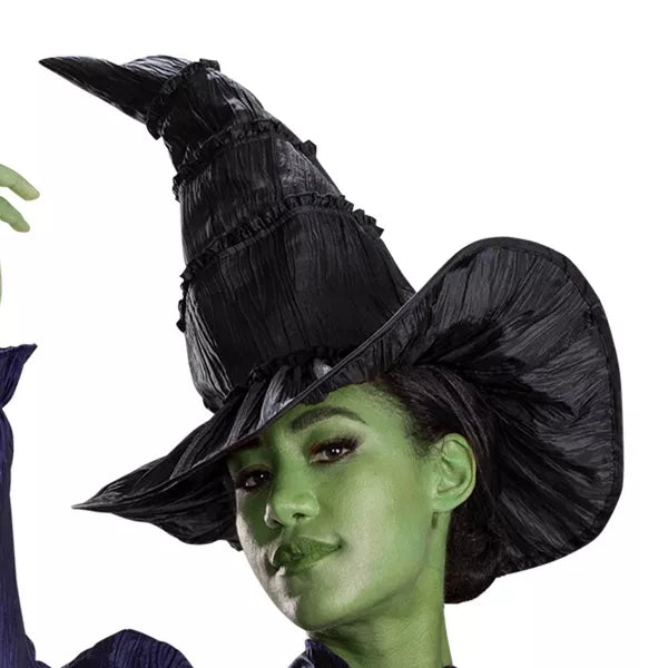 NBCUniversal Adult Wicked Elphaba Halloween Costume Nirvana Guru