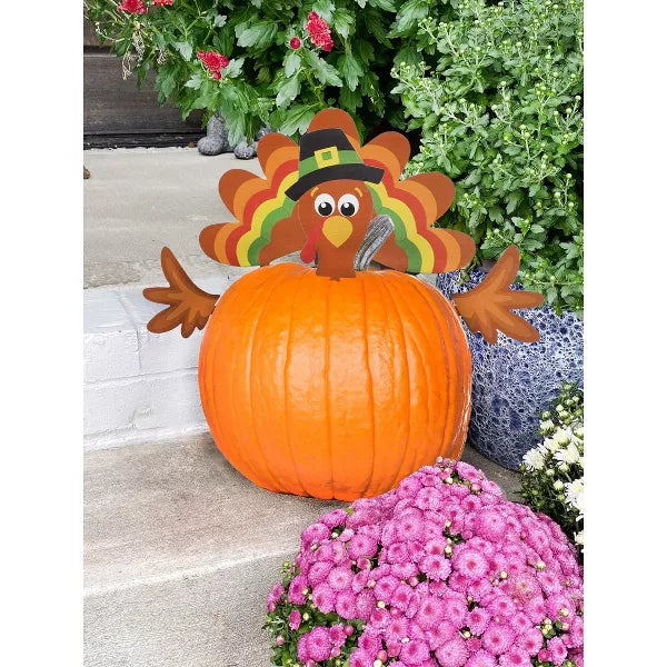 Decorae Halloween Pumpkin Decorating Kit, Turkey Set, 4 Reusable Metal Accessories for Fall Pumpkin Face Decorating w/ Turkey Body Parts Nirvana Guru