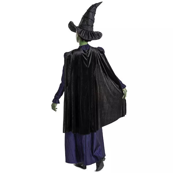 NBCUniversal Adult Wicked Elphaba Halloween Costume Nirvana Guru