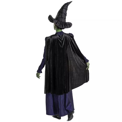 NBCUniversal Adult Wicked Elphaba Halloween Costume Nirvana Guru