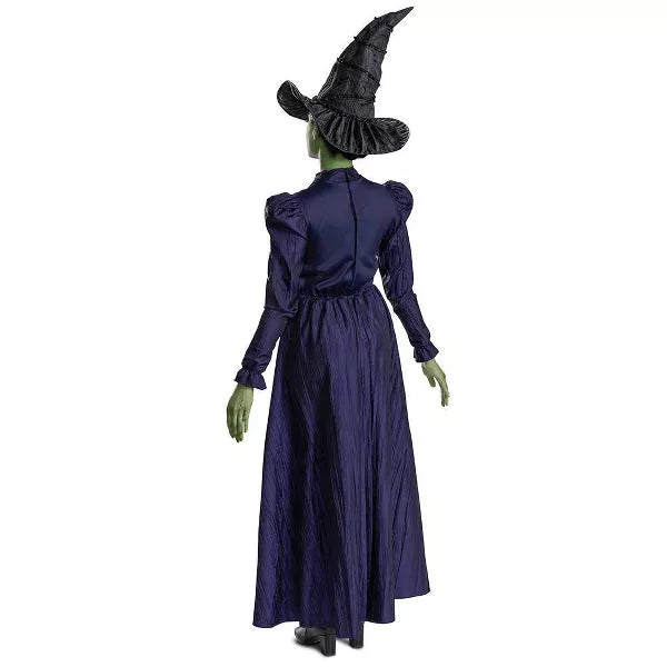 NBCUniversal Adult Wicked Elphaba Halloween Costume Nirvana Guru