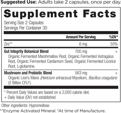 Ancient Nutrition Gut Health Supplement Leaky Gut Capsules,60 Ct - Nirvana Guru